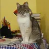 Отзыв от Кира Зверева